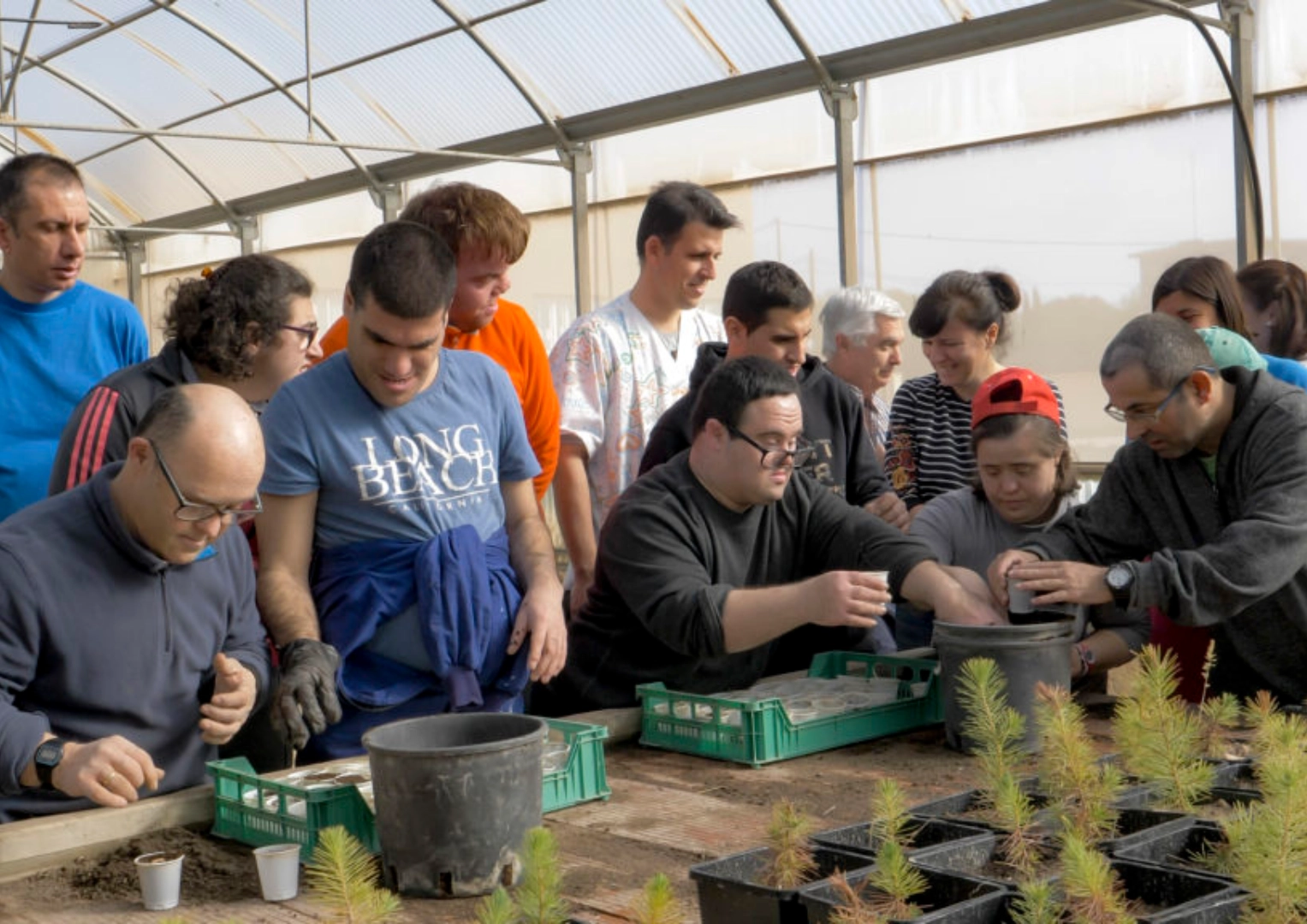 Grupo de personas realizando una actividad de jardinería en un invernadero.